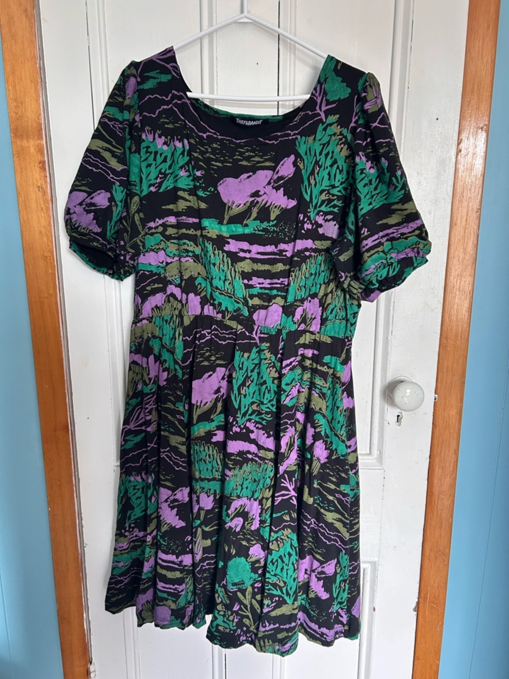 Thief and Bandit Alice Dress in pastoral print